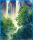 The 5th Cataract