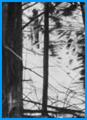 Hidden Vermont 1